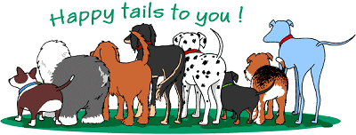 footer_happytails